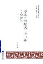 变革中的焦虑 十七年文学探寻