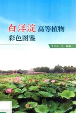 白洋淀高等植物彩色图鉴