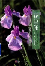 花菖蒲 资源保护与品种赏析