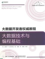 大数据开发者权威教程 大数据技术与编程基础