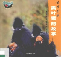 黑叶猴的故事 绿野寻踪