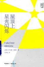 屋顶上星光闪烁