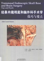 经鼻内镜颅底和脑外科手术学 技巧与要点