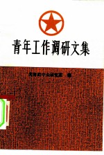 青年工作调研文集