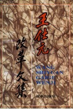 王仕元改革文集