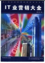 IT业营销大全