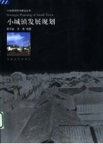 小城镇发展规划