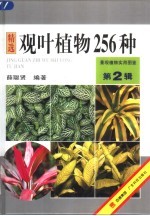 观叶植物256种