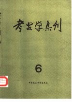 考古学集刊 6