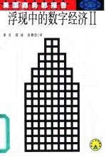 浮现中的数字经济II 美国商务部报告