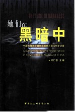 她们在黑暗中 中国大陆若干城市艾滋病与卖淫初步调查