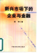 新兴市场下的企业与金融