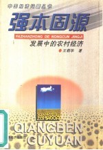 强本固源 发展中的农村经济