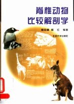 脊椎动物比较解剖学