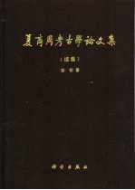 夏商周考古学论文集 续集