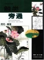 触类旁通 中国画技法新解 荷花·睡莲