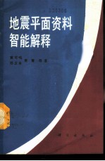地震平面资料智能解释