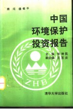 中国环境保护投资报告