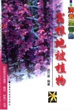 清秀坚韧的宿根地被植物