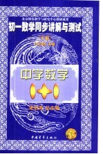 初一数学同步讲解与测试 下