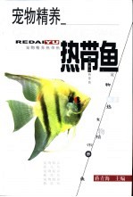 宠物精养 热带鱼