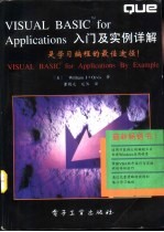 VISUAL BASIC for Applications入门及实例详解