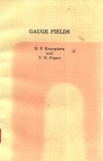 GAUGE FIELDS