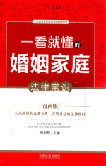 一看就懂的婚姻家庭法律常识 漫画版