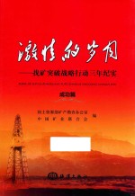 激情的岁月 找矿突破战略行动三年纪实成功篇