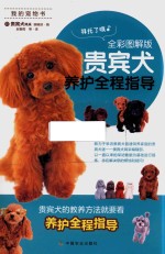 贵宾犬养护全程指导 全彩图解版