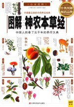 图解神农本草经 中国人信奉了五千年的养疗大典