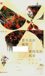看不见的城市 看得见的风景 南方小城文影录