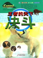 王者的天下-决斗