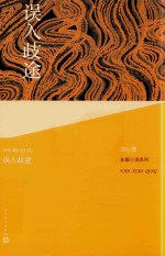 范小青长篇小说系列 误入歧途