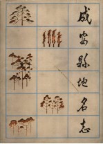 成安县地名志