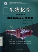 生物化学 同步辅导及习题全解