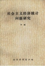 社会主义经济统计问题研究 下