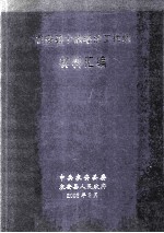 农安县十条经济工作线材料汇编