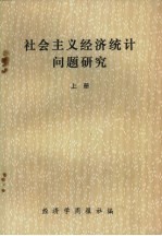 社会主义经济统计问题研究 上