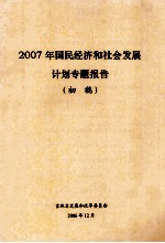 2007年国民经济和社会发展 计划专题报告初稿