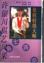 象棋特级大师许银川棋艺风采