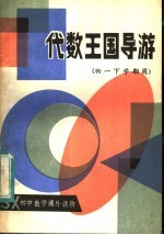 代数王国导游 初一下学期用