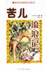 苦儿流浪记