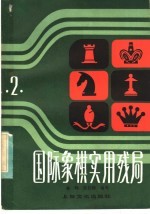 国际象棋实用残局 第2集