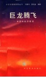 巨龙腾飞：中国的经济建设