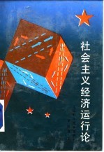 社会主义经济运行论