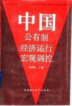 中国公有制经济运行宏观调控