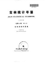 吉林统计年鉴 1999 总第13期