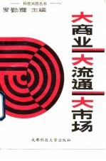 大商业 大流通 大市场