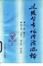 过渡型市场经济概论